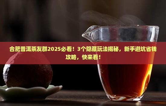 合肥普洱茶友群