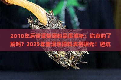 2010后普洱茶原料品质