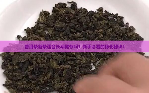 普洱茶新茶适合长期储存