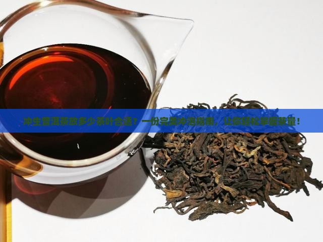 冲生普洱茶放多少茶叶合适