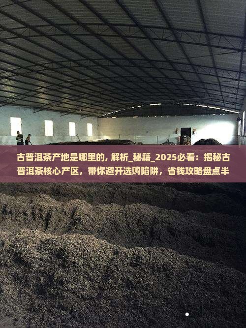 古普洱茶产地是哪里的
