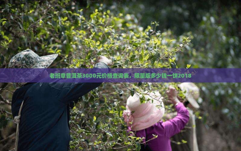老班章普洱茶3000元