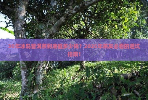 30年冰岛普洱茶价格