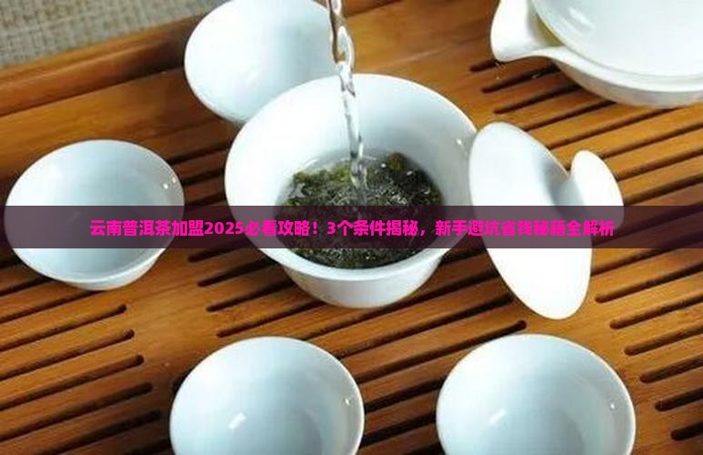 云南普洱茶渠道加盟条件