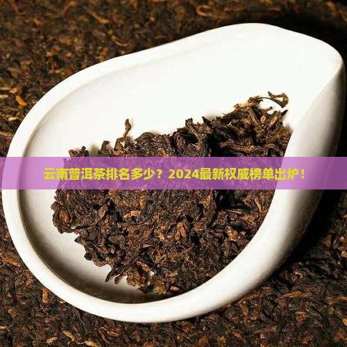 云南普洱茶排名多少