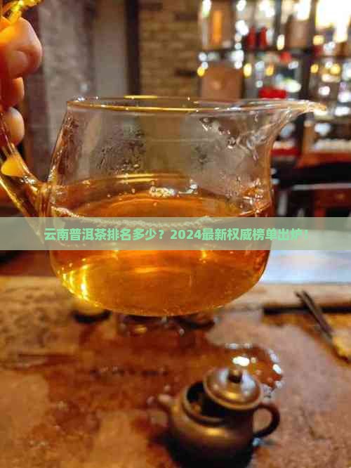 云南普洱茶排名多少