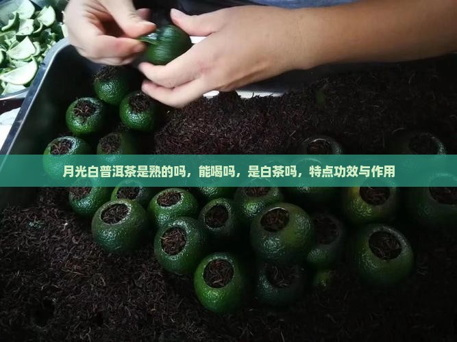 月光白普洱茶是熟的吗