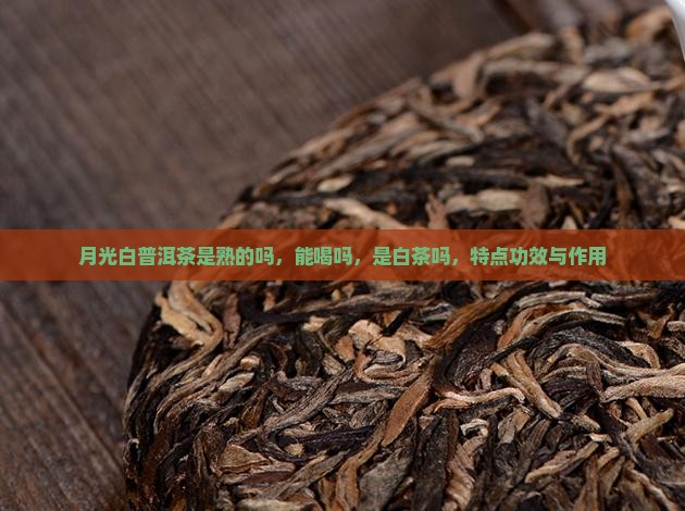 月光白普洱茶是熟的吗