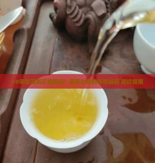 普洱茶最高可以保存多久
