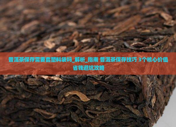普洱茶保存需要套塑料袋吗