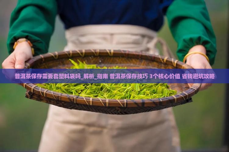 普洱茶保存需要套塑料袋吗