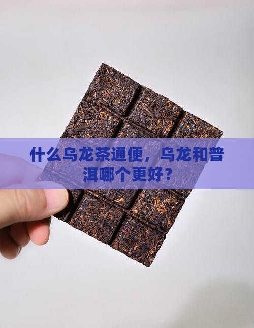 乌龙茶和普洱哪个更通便