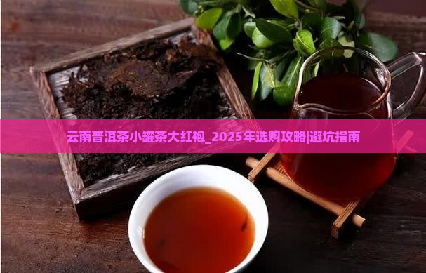 云南普洱茶小罐茶大红袍