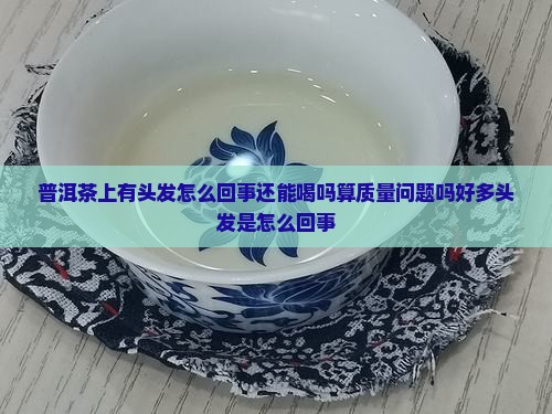 普洱茶上有头发