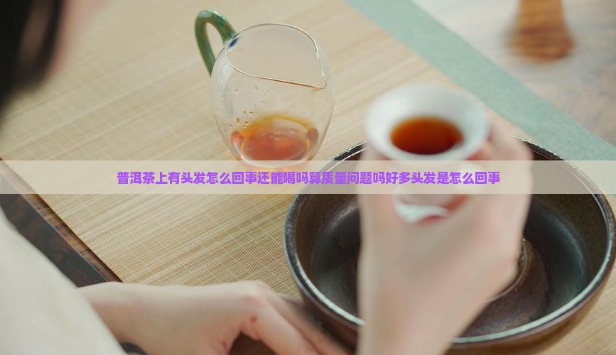 普洱茶上有头发