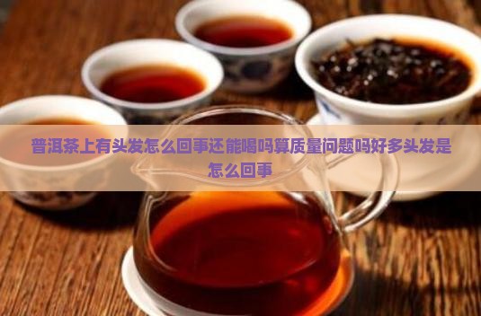普洱茶上有头发