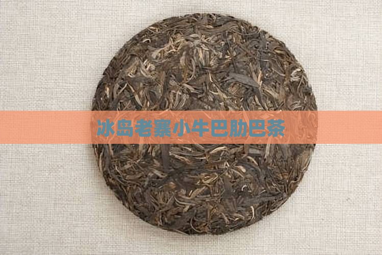 冰岛老寨小牛巴肋巴茶