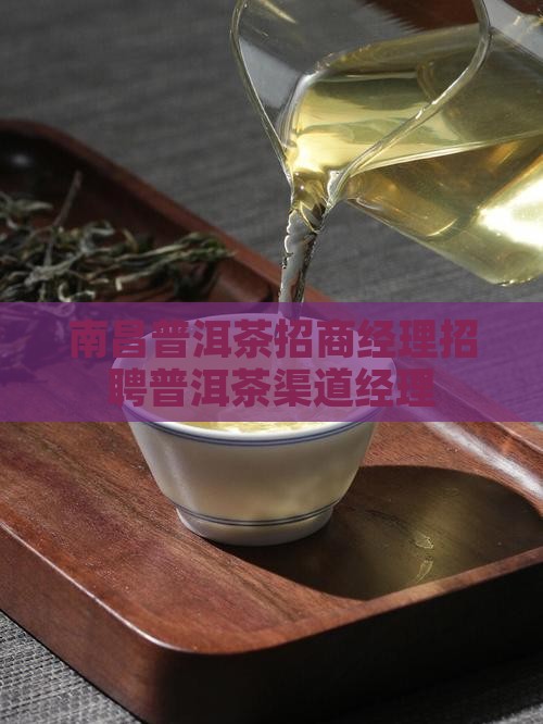 南昌普洱茶渠道招商部经理