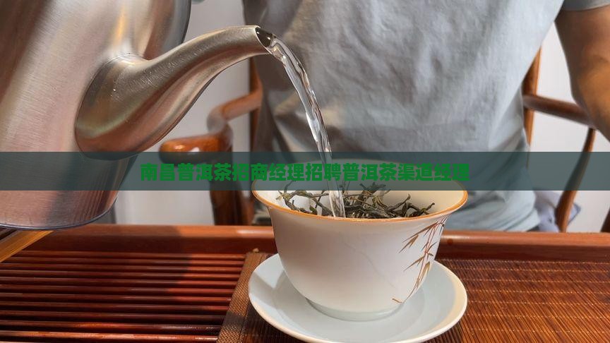 南昌普洱茶渠道招商部经理