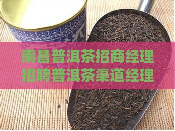 南昌普洱茶渠道招商部经理