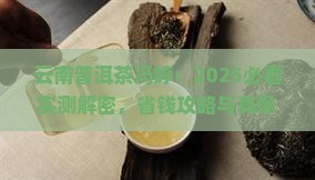 云南普洱茶冯婷