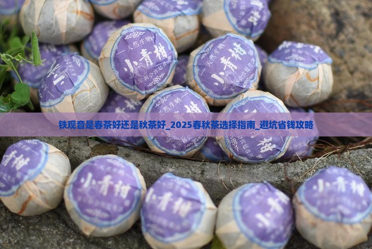 铁观音是春茶好还是秋茶好
