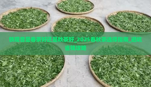铁观音是春茶好还是秋茶好