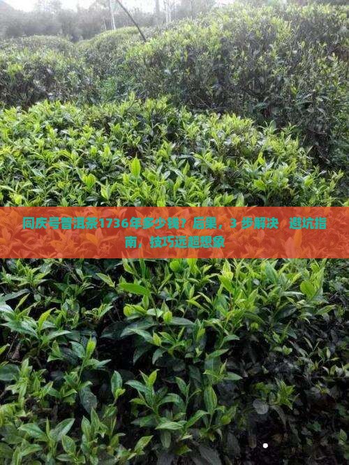 同庆号普洱茶1736年多少钱