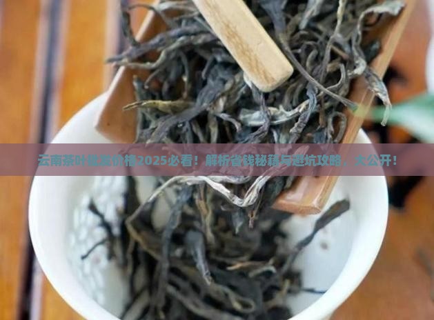 云南茶叶批发价格