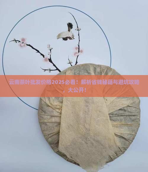 云南茶叶批发价格
