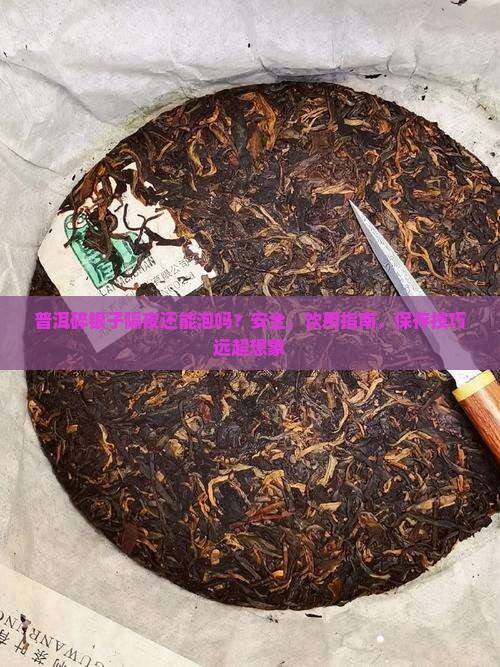 普洱碎银子隔夜还能泡吗