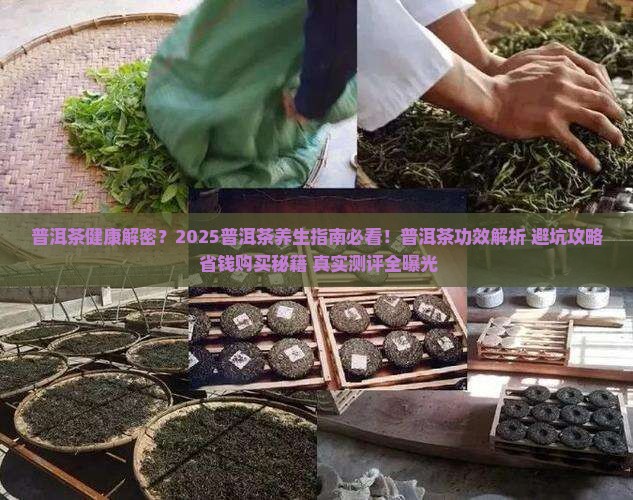 普洱茶健康丛书 普洱茶健康丛书