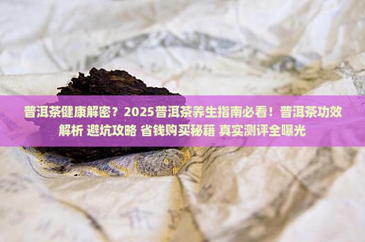 普洱茶健康丛书 普洱茶健康丛书