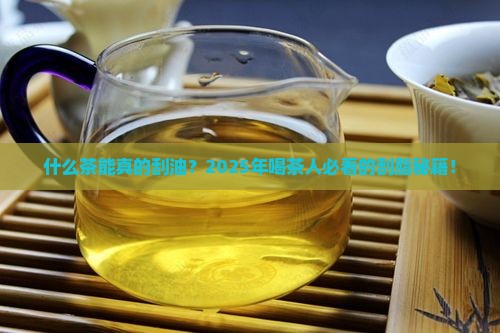 什么茶叶刮油脂效果好