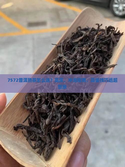 7572普洱熟茶 7572普洱熟茶