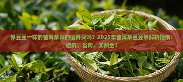 像豆豆一样的普洱茶