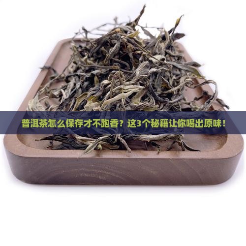普洱茶的保存香菜做法窍门