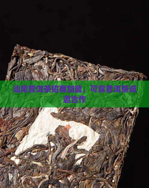 汕尾可靠普洱茶招商