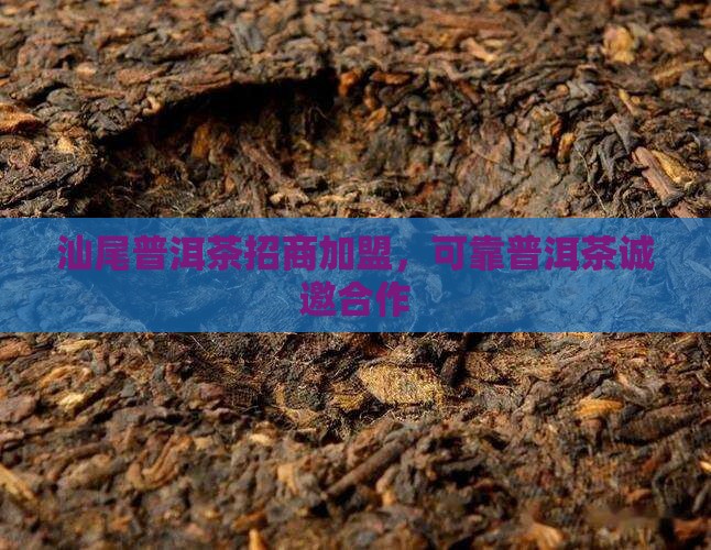 汕尾可靠普洱茶招商
