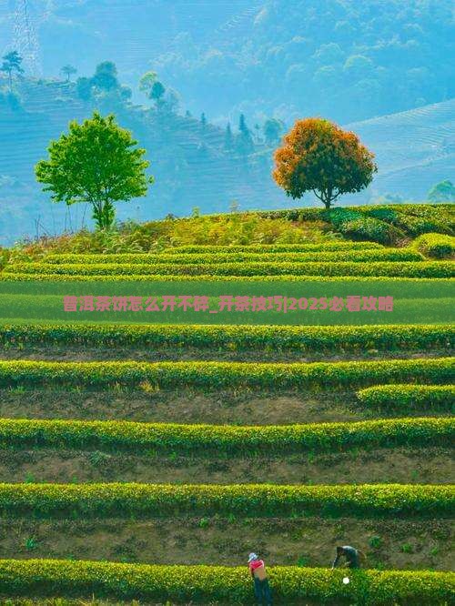普洱茶饼怎么开不碎