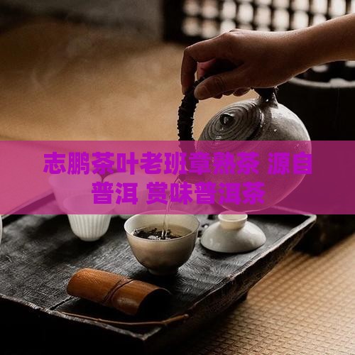 志鹏茶叶老班章熟茶