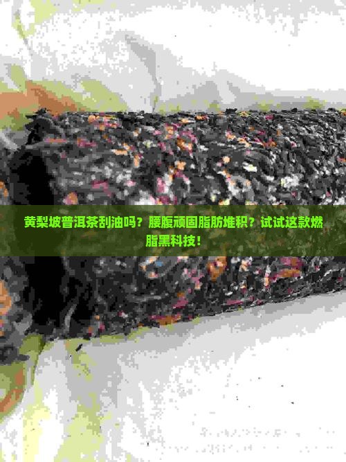 黄梨坡普洱茶刮油吗