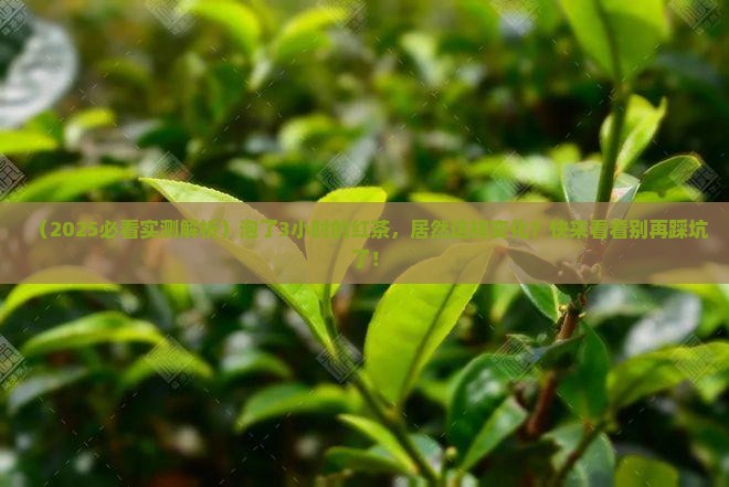 红茶一直泡着会怎么样