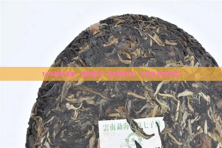 16年陈普洱茶