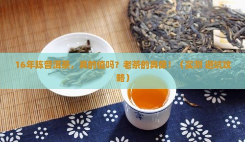 16年陈普洱茶