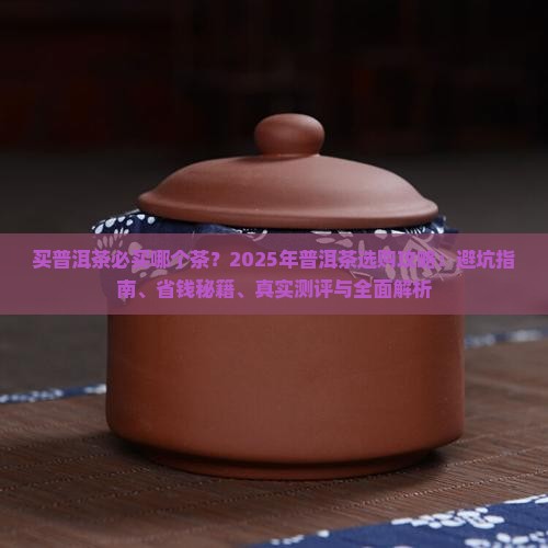买普洱茶必买哪个茶