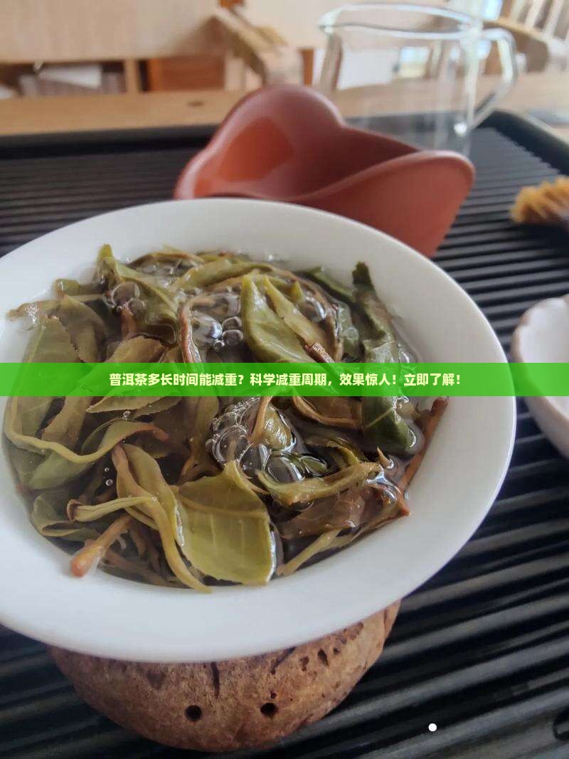 普洱茶多长时间能减重