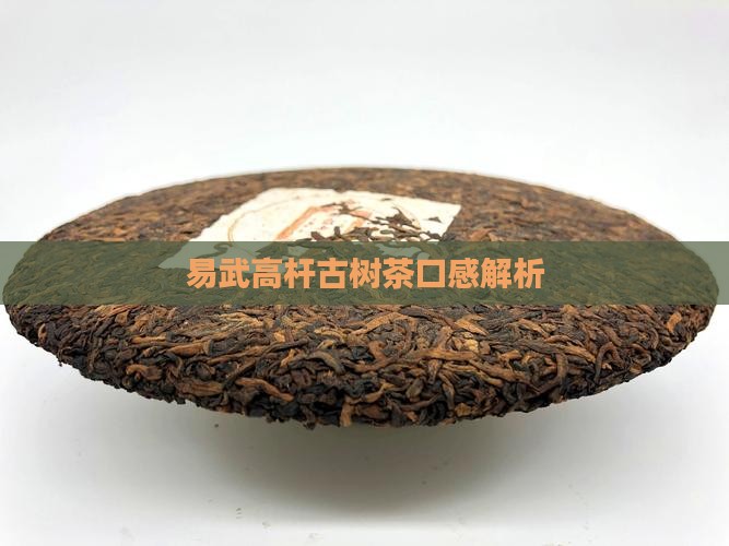易武高杆古树茶口感