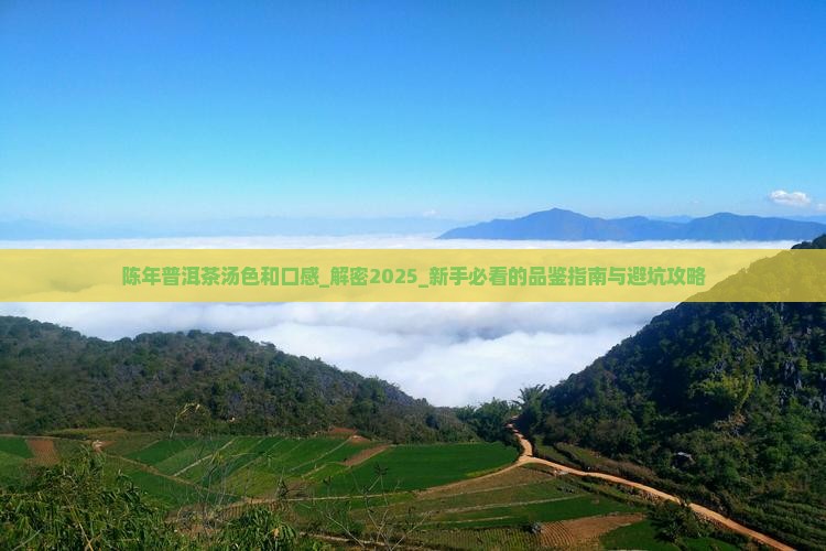 陈年普洱茶汤色和口感