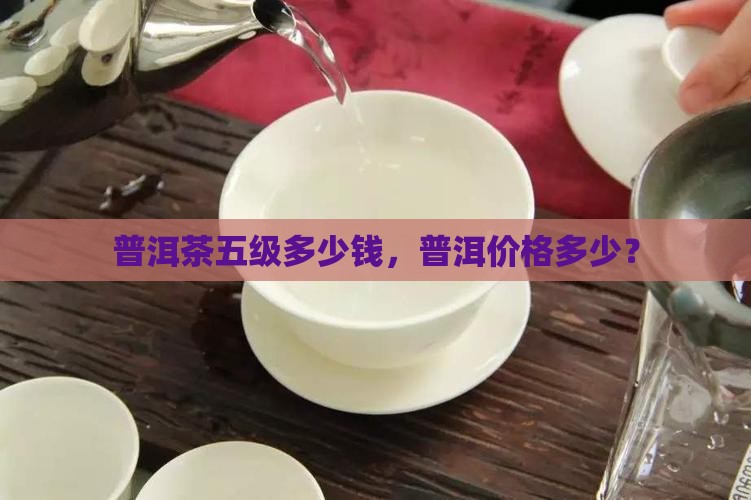 普洱茶五级多少钱